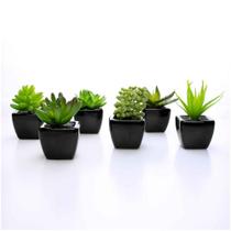 Kit 06 Suculentas Artificial Sortida Vaso Preto Unidades 6x6 Cm