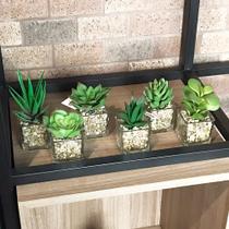 Kit 06 Suculentas Sortidas Com Vasos 13cm F04 - D'Rossi