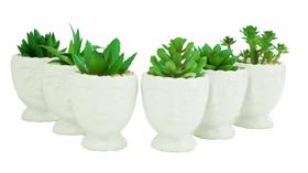 Kit 06 Vasinhos Porcelana Branco Planta Artificial Suculente Kit 06 Vasinhos Porcelana Branco Planta Artificial Suculente