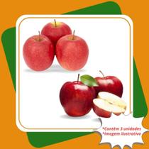 Kit 1 Maça Eva 2 Maça Julieta Mudas Enxertadas