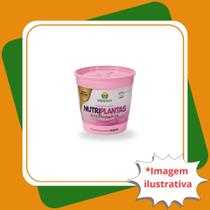 Kit 1 Muda de Goiaba Tailandesa + Vaso Redondo T:06 + Casca de Pinus + Argila Expandida Kit 1 Muda de Goiaba Tailandesa + Vaso Redondo T:06 + Casca de Pinus + Argila Expandida