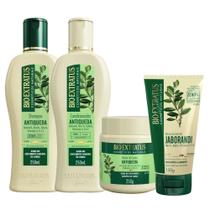 kit 1 Shampoo 1 Cond 1 Banho creme Jaborandi 250 ml 1 Finalizador