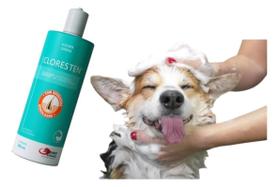 Kit 1 Shampoo Cloresten Dermatite Coceira Cães Gatos Cachorro 500ml Resolve Fragrância Aloe vera