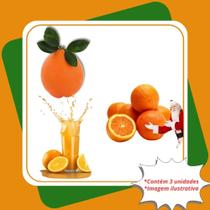 Kit 1 Valência 1 Natal 1 Folha Murcha Mudas Enxertadas