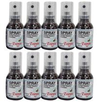 Kit 10 Aromatizante Bucal Própolis e Gengibre 30Ml - Essenza