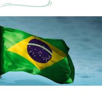 Kit 10 Bandeiras do Brasil 1,50x0,90mt Oficial