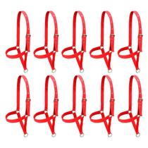 Kit 10 Cabrestos de Fita para Bezerro SV39017 - Vermelho