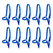 Kit 10 Cabrestos de Fita para Bezerro SV39020 - Azul