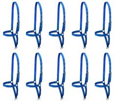 Kit 10 Cabrestos de Fita para Vaca SV39029 - Azul Kit 10 Cabrestos de Fita para Vaca SV39029 - Azul