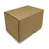 Kit 10 Caixas Papelão Correio Sedex Pac Sex Shop 10x16,5x10