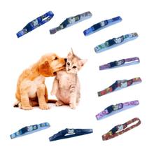 Kit 10 Coleiras Cão Gato Colorida Com Pingente Regulável Pet