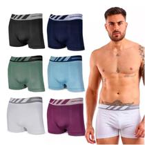 Kit 10 Cuecas Boxer Microfibra Box Sem Costura Lisa