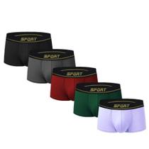 Kit 10 Cuecas Mini Boxer CK Viscose Premium Box SP51