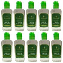 Kit 10 Essência Concentrada Óleo Eucalipto Odorizador Perfumado Limpador Ambiente 140ml - Envio Já