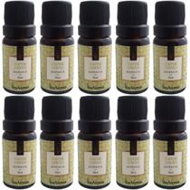 Kit 10 Essências De Aromatizador Via Aroma Aromaterapia 10ml