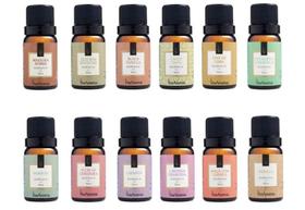 Kit 10 Essências Para Aromatizador Elétrico 10ml Via Aroma