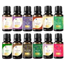 Kit 10 Essências Sortidas 10ml para Aromatizador Kit 10 Essências Sortidas 10ml para Aromatizador