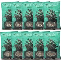 Kit 10 Fertilizante Adubin Para Cactos E Suculentas 50g