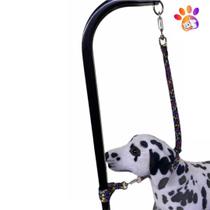 Kit 10 Guias De Contenção Mão De Deus Para Banho E Tosa. Kit 10 Guias De Contenção Mão De Deus Para Banho E Tosa.