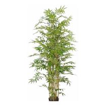 Kit 10 Haste Galhos Bambu Bamboo Da Sorte 150cm Artificiais