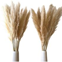 Kit 10 Hastes Capim Dos Pampas Arranjo Floral Decor Moderno