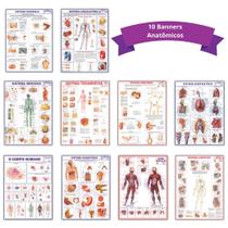 Kit 10 Mapas Anatômicos - Dobrados 120x90cm - Escolar - Estudos - Corpo Humano