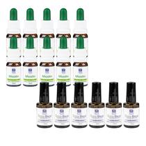 Kit 10 Micotin 10ml + 6 Ônico Blend 10ml Pincel Kit 10 Micotin 10ml + 6 Ônico Blend 10ml Pincel