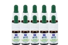 Kit 10 Micotin 10ml Antifúngico