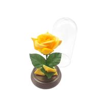 Kit 10 Mini Rosas Amarela A Bela E A Fera O Pequeno Príncipe