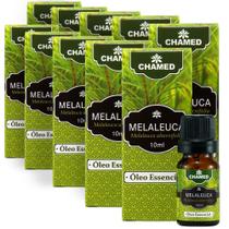 Kit 10 Óleo Essencial Melaleuca alternifolia Tea Tree 10ml Kit 10 Óleo Essencial Melaleuca alternifolia Tea Tree 10ml