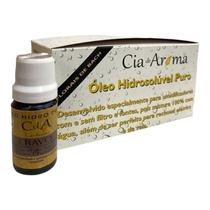 KIT 10 Óleo Hidrossolúvel Cravo Puro Umidificadores 10ml