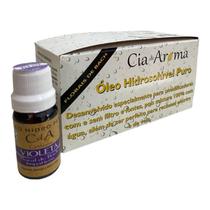 Kit 10 Óleo Hidrossolúvel Violeta Puro Umidificadores 10Ml Kit 10 Óleo Hidrossolúvel Violeta Puro Umidificadores 10Ml