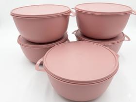 Kit 10 ou 5 Bowls Multiuso com Tampa 10 de 500ml a 1L e 5 de 2,8L a 5,8L Conjunto Organizador Hermético