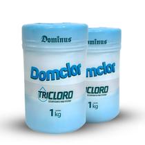 Kit 10 Pastilhas De Cloro Domclor Tratamento Piscina Pedra de Cloro