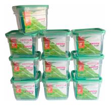 Kit 10 Pote Multiuso Freshy Plástico Freezer Sanremo Sr1761 770ml