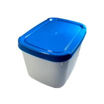 Kit 10 Potes de Sorvete Retangular 2 Litros com Tampas Azul