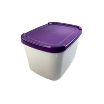 Kit 10 Potes de Sorvete Retangular 2 Litros com Tampas Roxa Kit 10 Potes de Sorvete Retangular 2 Litros com Tampas Roxa