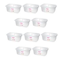 Kit 10 Potes P/Alimentos Organizador 3,2L Transparente-SANREMO