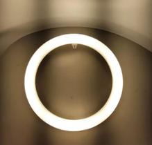 Kit 10 Ring Light Arco Luz Led 15w 30x30 4000k Branco Morno