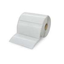 Kit 10 Rolos Etiqueta Bopp Para Freezer 100X50 E 5 Ribbons