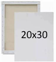 Kit 10 telas de pintura 20x30
