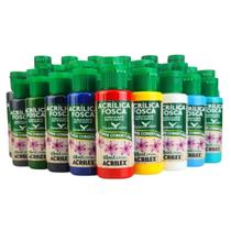 Kit 10 Tintas Acrilica base agua Fosca Nature Colors Acrilex