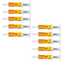 Kit 10 Unidades - Agener Pasta Fenzol Conteúdo de 20g Kit 10 Unidades - Agener Pasta Fenzol Conteúdo de 20g