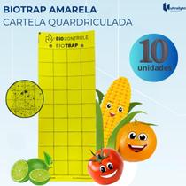 KIT 10 unidades Armadilha Amarela Adesiva Pega Insetos