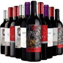 Kit 10 Vinhos Tintos Best Sellers