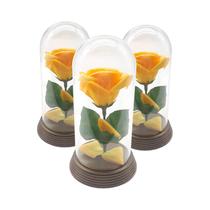 Kit 100 Mini Rosas Amarela A Bela E A Fera/Pequeno Príncipe - Amor Lindo Boutique