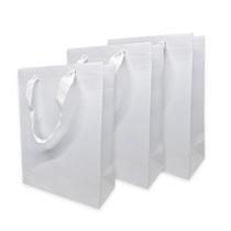 Kit 100 Sacola De Papel Offset P Alça Prática Unidade 20 cm