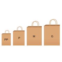 Kit 100 Sacola Lisa Kraft Tamanho Pp/p/m/g 25 Cada Papel Eco