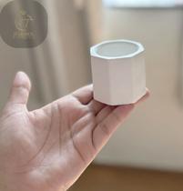 Kit 100 Vasinhos Branco De Gesso Octagonal Para Casamento Cha De Revelação Cha de Bebe Cha De Panela