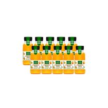 Kit 10x Suco de Laranja Integral Garrafinha Pet 250ml Campo Largo Kit 10x Suco de Laranja Integral Garrafinha Pet 250ml Campo Largo
